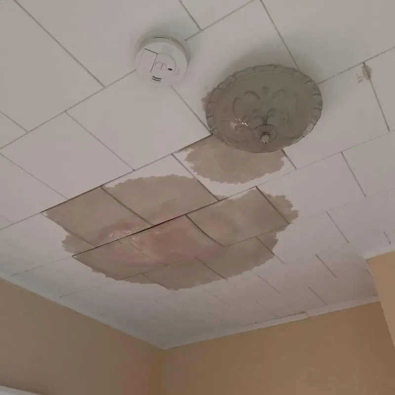 Ceiling Water Damage Repair in De Kalb, TX
