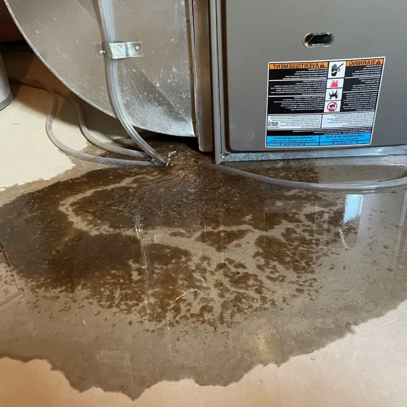Pipe Burst and Leak Restoration in De Kalb, TX