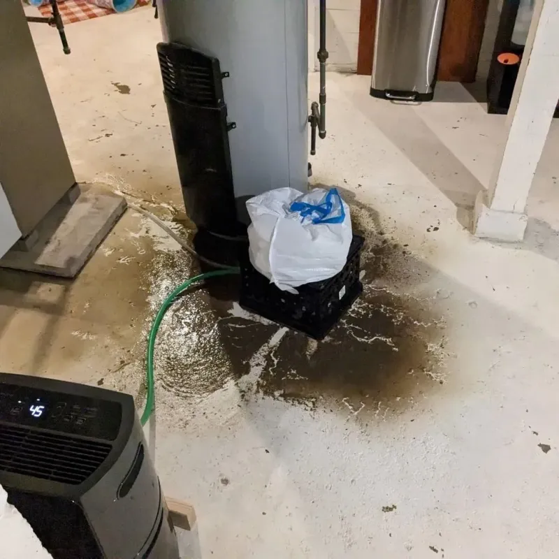Sewage Backup Cleanup Service in De Kalb, TX